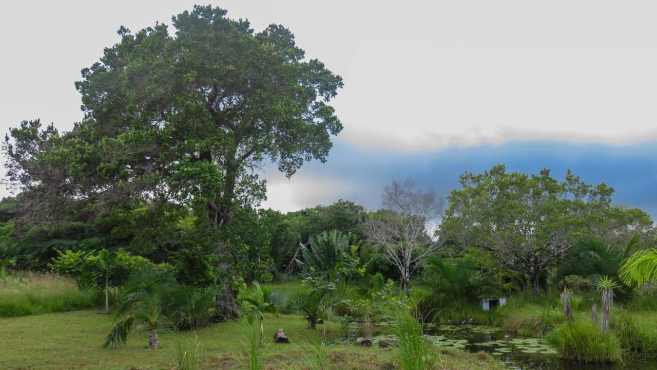 Lodge Umusa KwaMazambane Экстерьер фото