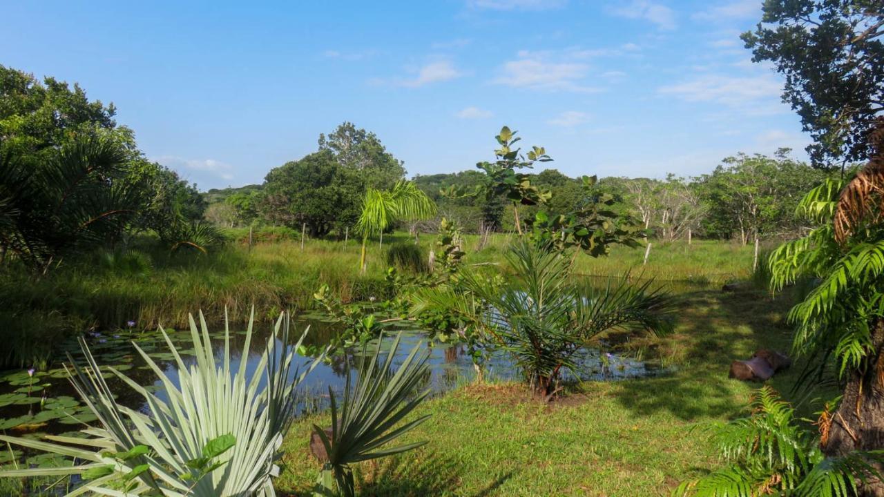 Lodge Umusa KwaMazambane Экстерьер фото